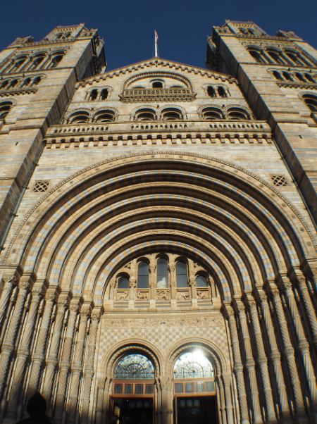 The Museum's Evolution