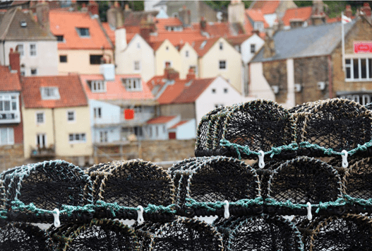 Equipment Fish Crab Fisherman Basket Catch
