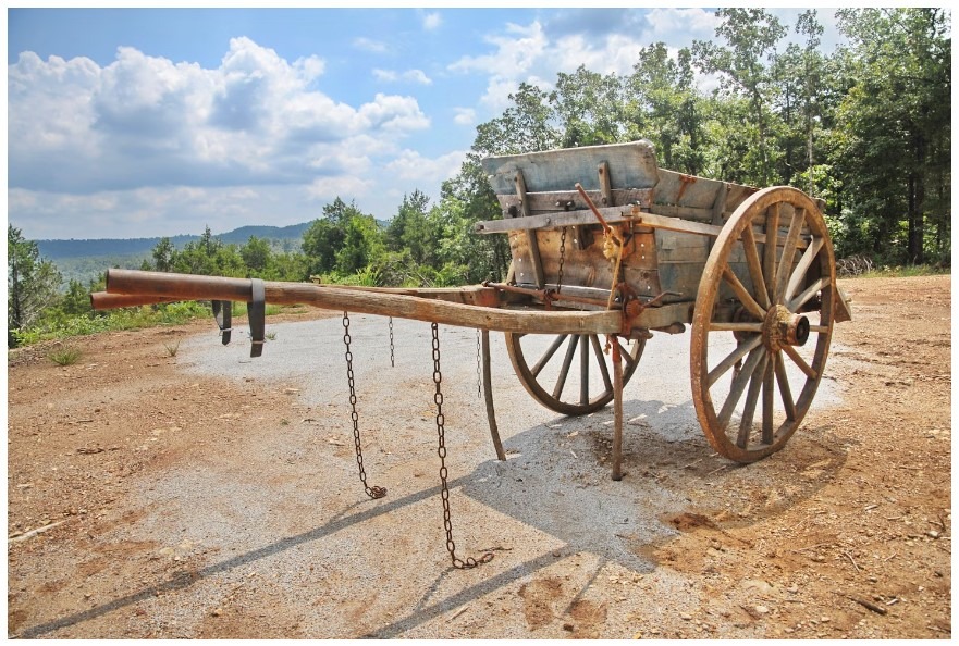 Cart