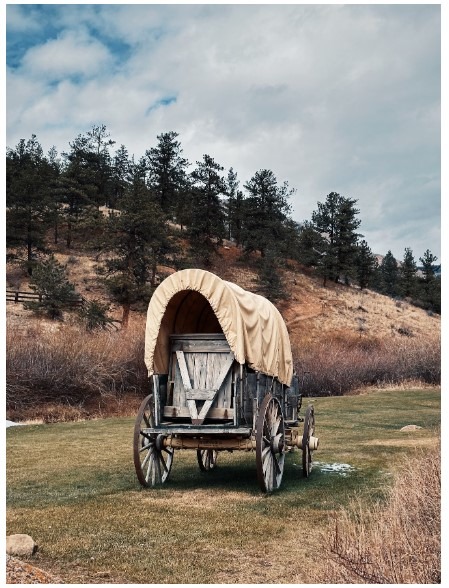 Wagon