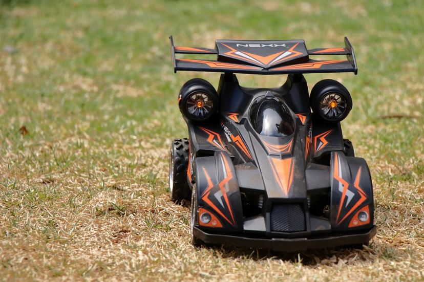 RC car on the grass